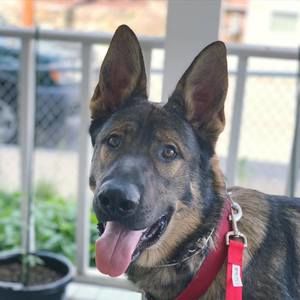 Meet your Posher, Patrick